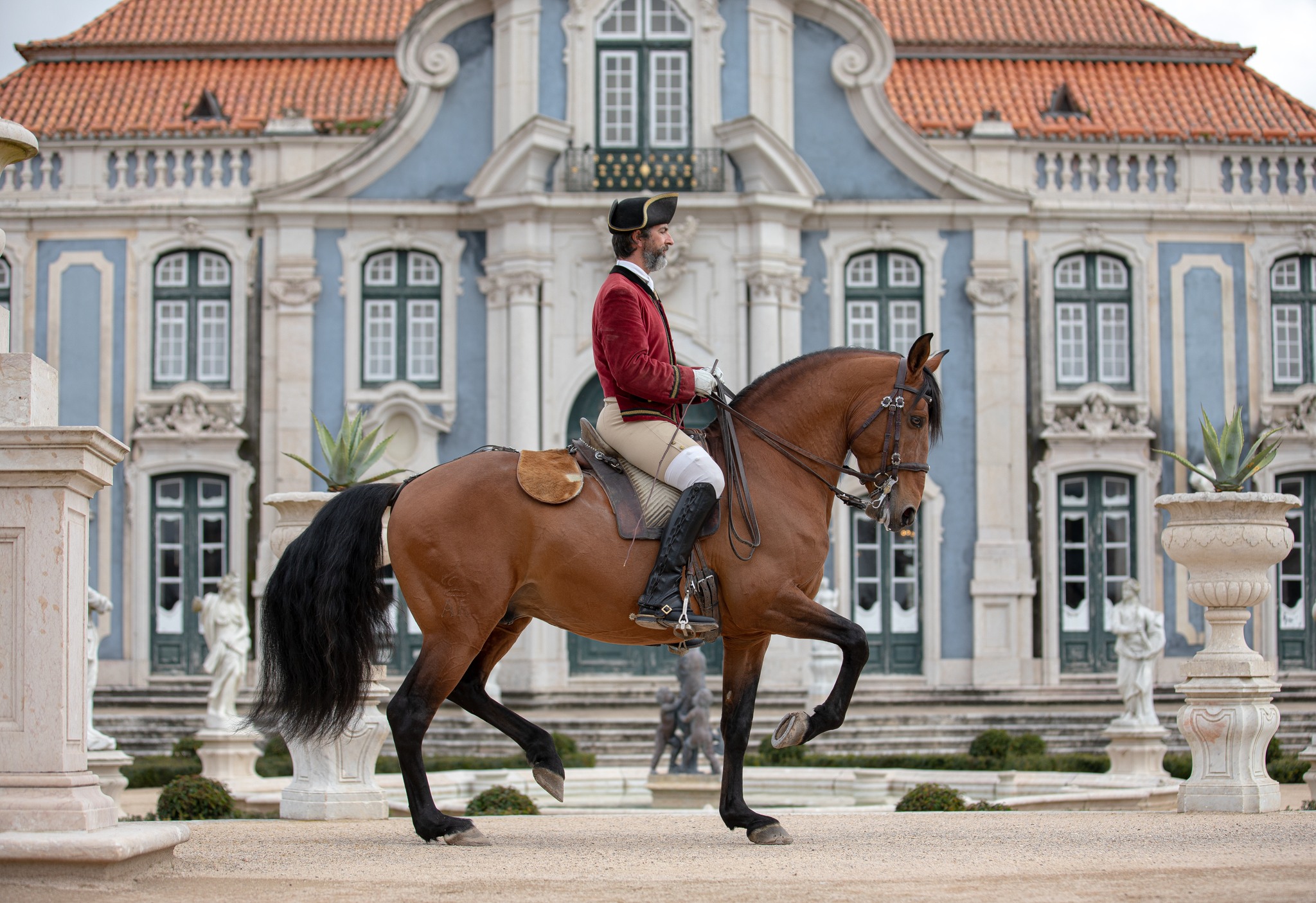 Arte Equestre Portuguesa